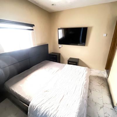 Furnished Studio Apartment, Victoria Island (vi), Lagos, Flat / Apartment for Rent