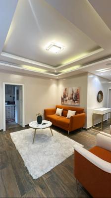 Luxury 2 Bedrooms Apartment, Close to Defence Hq, Area 8, Garki, Abuja, House for Rent