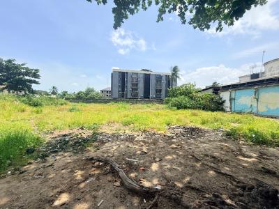 2500sqm Bare Land, Off Adeola Odeku, Victoria Island (vi), Lagos, Land for Rent