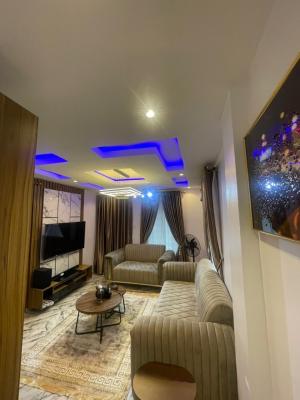 Furnished 1 Bedroom Apartment, Lagos Island, Lagos Island, Lagos, Mini Flat (room and Parlour) for Rent