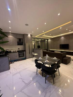 Newly Big Executive 2 Bedrom Flat + Bq + Cctv + (all Amenities), Off Admiralty Way, Lekki Phase 1 Lagos, Lekki Phase 1, Lekki, Lagos, Flat / Apartment for Sale