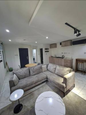 Fully Serviced 1 Bedroom Apartment, By Petrocam Fuel Station Lekki Right, Lekki Phase 1, Lekki, Lagos, Mini Flat (room and Parlour) for Rent