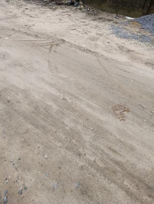 Very Prime 1000 Sqm Plot, Ikate Elegushi, Lekki, Lagos, Residential Land for Sale