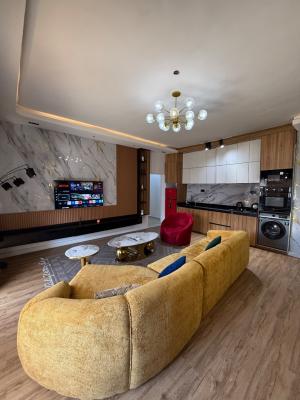 Cute Two Bedroom Apartment, Five Street, Osapa, Lekki, Lagos, Flat / Apartment Short Let