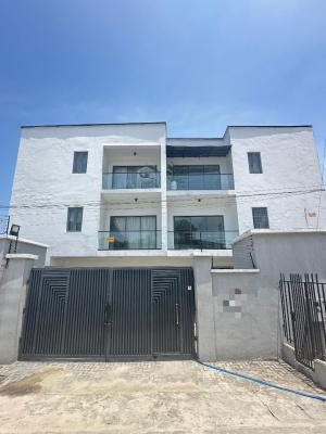 Fully Furnished 2 Bedroom  Apartment with Bq, Ikate, Lekki, Lagos, Flat / Apartment for Rent