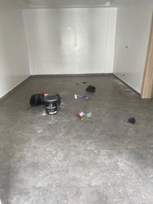 Luxury Spacious 2 Bedroom Apartment, Ikate, Lekki, Lagos, Flat / Apartment for Rent