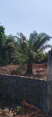 3 Plots, Ayegbami Street, 2 Minutes Away From Lekki Epe Expressway, Ibeju, Lagos, Mixed-use Land for Sale