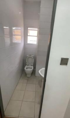 Modern and Serviced Mini Flat Apartment { Video}, Chevron, Lekki, Lagos, Mini Flat (room and Parlour) for Rent