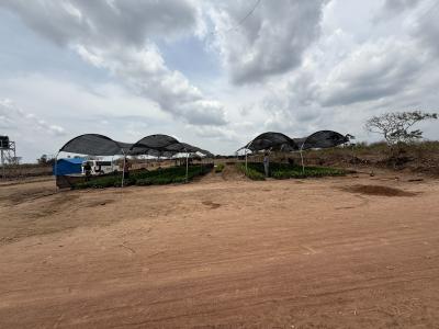 Palm Crest Phase 3, Okeho Iseyin Ibadan, Iseyin, Oyo, Land for Sale