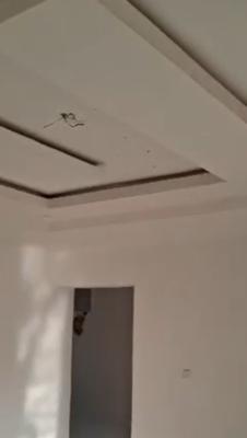 3bedroom Apartment for  in a Very Decent Off Ayo Alabi Street. Ogo, Off Ayo Alabi Street. Ogo Oluwa, Okeira Ogba., Ogba, Ikeja, Lagos, Flat / Apartment for Sale