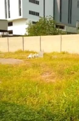 a Bare Land 736sqm Is Out for Se at Oregun Mixed Development Behind, Oregun, Ikeja, Lagos, Mixed-use Land for Sale