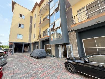 3 Bedroom Apartment with Bq, Oniru, Victoria Island (vi), Lagos, Flat / Apartment for Rent
