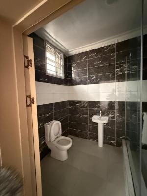 Luxury 4 Bedroom Semi Detached, Lekki County, Lekki, Lagos, Semi-detached Duplex for Rent