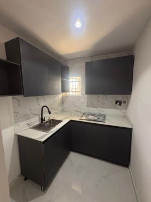 Luxury Newly Renovated 2 Bedroom Apartment with Excellent Facility, Victoria Island (vi), Lagos, Flat / Apartment for Rent