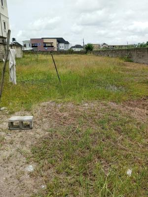 Bare Land of Approximately 900sqm, Prime Location Main, Ologolo, Lekki, Lagos, Residential Land Joint Venture
