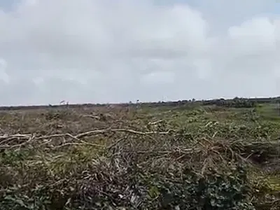 Video Available 25 Acres of Land — Ajah, Lagos