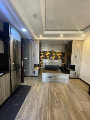 Furnished Studio Apartment, Johnson St, Onike, Yaba, Lagos, Self Contain (single Rooms) for Rent