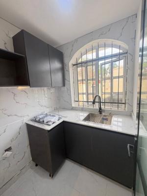 Serviced Mini Flat with Excellent Facilities ,16h Light Guaranteed, Oniru Yusuf Abiodun Road, Victoria Island (vi), Lagos, Mini Flat (room and Parlour) for Rent