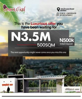 Affordable Plots of Land with C of O Title (multiple Sizes Available), Omoluabi Estate / Ido/eruwa Road, Akilo Ido, Ibadan, Oyo, Mixed-use Land for Sale
