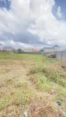 Distress Land  Facing Express Lekki Epe Express, Lekki Epe Expressway, Bogije, Ibeju Lekki, Lagos, Mixed-use Land for Sale