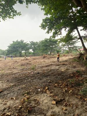 Luxury Land in a Prestige Location — Lekki, Lagos