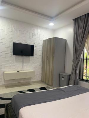 Furnished 2 Bedroom Apartments, Oriwu Street, Lekki Phase 1., Lekki Phase 1, Lekki, Lagos, Flat / Apartment for Rent