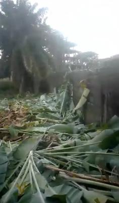 Virgin Land in a Very Prime Location, Ikoyi, Lagos, Mixed-use Land for Sale