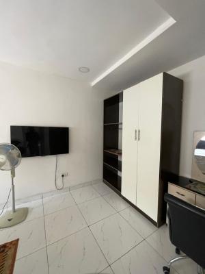 Beauttifully Furnished Self-contained Wuye, Wuye, Abuja, Self Contain (single Rooms) for Rent