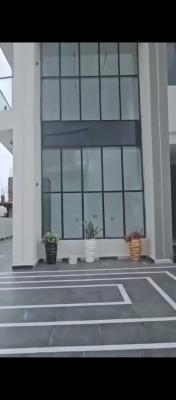 Newly Built 5 Bedroom Duplex with Bq, Offshore, Ikate, Lekki, Lagos, Detached Duplex for Sale