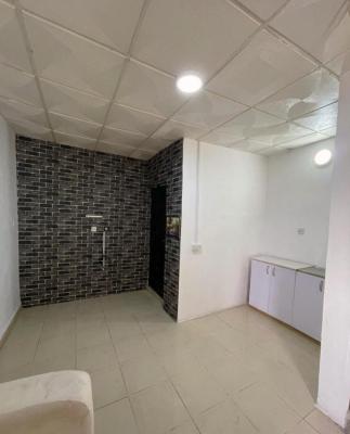 a Self Contain with Kitchen Toilet and Shower, Off Admiralty Way, Lekki Phase 1, Lekki, Lagos, Flat / Apartment for Rent