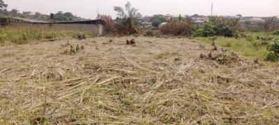 Affordable Full Plot of Land with Registered Survey, Ogundimu, Iju-ishaga, Agege, Lagos, Residential Land for Sale