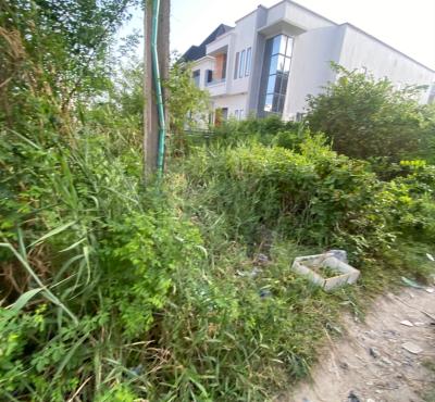 Developers Delight! 400sqm Dryland, Megamound Estate, Ikota, Lekki, Lagos, Residential Land for Sale