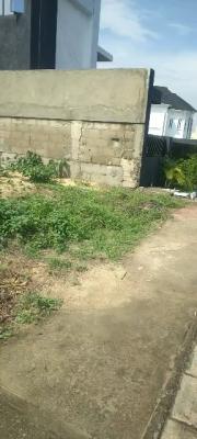 Available Land in a Serene Environment, Royal Gardens Estate, Lekki, Lagos, Residential Land for Sale