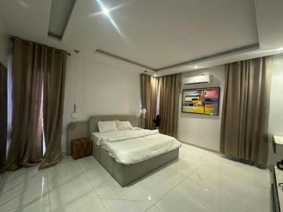 Furnished 2 Bedroom Apartment, Ikate, Lekki, Lagos, Flat / Apartment for Rent