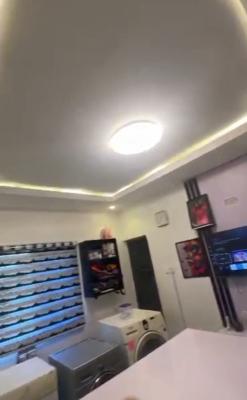 Standard Spacious Tastefully Built One Bedroom Apartment, Alagomeji, Yaba, Lagos, Mini Flat (room and Parlour) for Rent