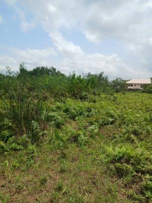 400sqms Juicy, Near River View Estate, Opic, Isheri North, Lagos, Land for Sale