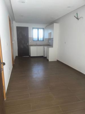 Brand New Serviced Miniflat, New Road Alpha Beach Road, Opp Chevron, Lekki Expressway, Lekki, Lagos, Mini Flat (room and Parlour) for Rent