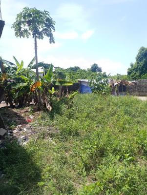 a Plot Measuring 400sqm Back Plot of Dry Fenced Land, Ajayi Apata, Sangotedo, Ajah, Lagos, Residential Land for Sale