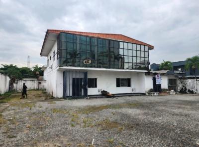 Commercial Detached Duplex (800sqm) with Large Parking for 12 Cars, Victoria Island, Victoria Island (vi), Lagos, Detached Duplex for Rent