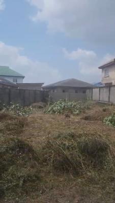 More Than Half Plot of Land (421 Sqm) Dry Land*, Cornerstone Estate, Igbogbo, Ikorodu, Lagos, Land for Sale