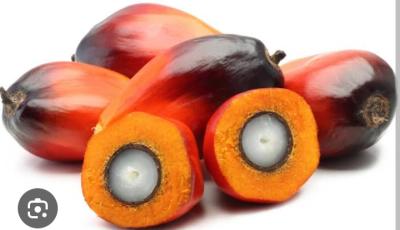 Flourish Oil Palm City Phase 2., Betem, Biase Local Government Area, Cross River State., Biase, Cross River, Commercial Property for Sale