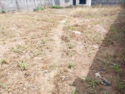 1,600sqm Fenced & Cleared Land, Jahi, Abuja, Residential Land for Sale