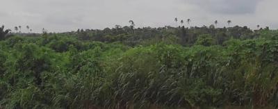 2000 Acres (suitable for Large-scale Development and Can Be Allocated, Along Lagos-ibadan Expressway, Directly Opposite Foursquare Camp, Adja, Berger, Arepo, Ogun, Mixed-use Land for Sale