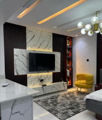 Beautifully Finished and Tastefully Furnished Apartment, Ikate, Lekki Phase 1, Lekki, Lagos, Self Contain (single Rooms) for Sale