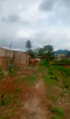 18,000sqm Bareland Fence Round with Gate, Oba Akran, Ikeja, Lagos, Mixed-use Land for Sale