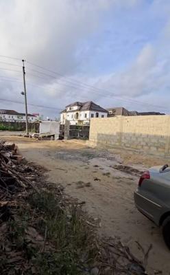 Strategically Located 2 Plots of Dry,fenced and Gated Land, Off Cmb Road, Off Monastery Road, Sangotedo, Ajah, Lagos, Mixed-use Land for Sale
