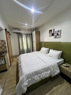 Mini Studio Apartment, Orchid Road, Lekki, Lagos, Flat / Apartment for Rent