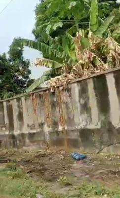Massive Plots of Land, Along Agege Motor Road, Oshod, Mushin, Lagos, Mixed-use Land for Sale