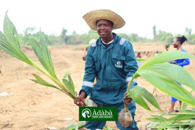Invest in Cocoa Nut Farm, Adaba Farms, Obafemi Owode, Ogun, Commercial Land for Sale