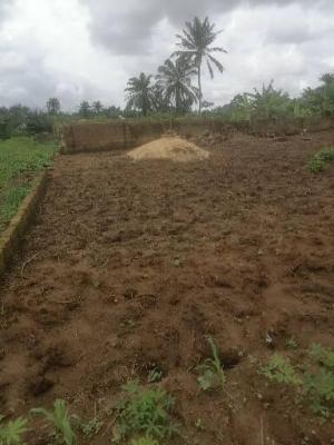 Affordable 1000sqm Dry Land for Residential & Commercial Use, Abak Road, After Ekom Iman Flyover, Uyo, Akwa Ibom, Mixed-use Land for Sale
